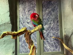 -Zoolung Zoolung动物主题公园(海信广场店)