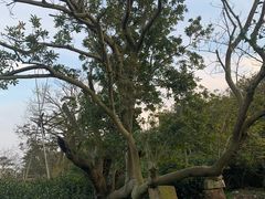 -东山风景区(洞庭东山)
