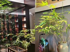 -王府茶楼茶宴·创意菜(朝阳公园店)