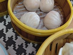 -点多多•广式茶点(龙华店)