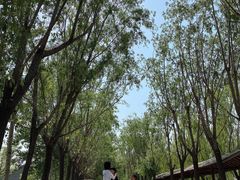-杨柳青庄园