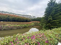 -迪茵湖田家舍生态农场