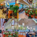 谁敢信？沈阳还有这么平价又好吃的越南小吃！