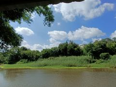 -南宁良凤江国家森林公园