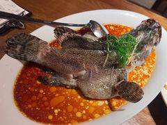 -张家卫·阳江菜·小海鲜(肥婆湾桥店)