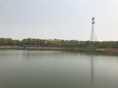 -大兴滨河森林公园