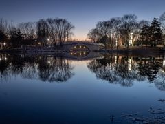 -大兴滨河森林公园