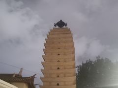 -昆明动物园