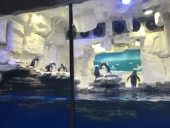 -华夏文旅海洋公园