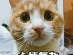 -卓尔书店咖啡吧