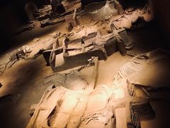 -洛阳周王城天子驾六博物馆