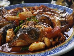 -张鸟园农家乐(张鸟园店)