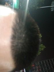 点击看大图 -Cima salon西玛沙龙
