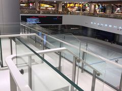 -TheRink大零溜冰场(IFS国金中心店)