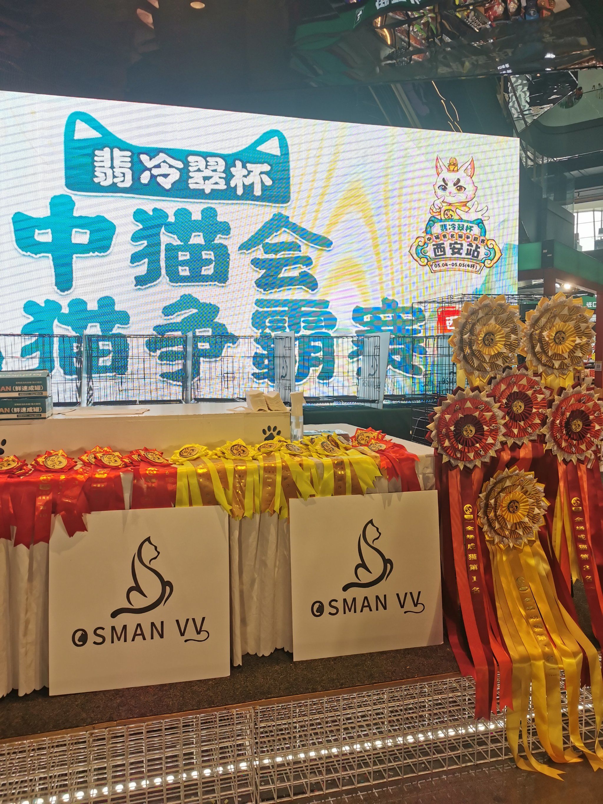 猫咪选美大赛,漫巷活动最后一天了