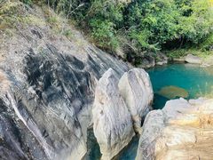 -广州白江湖森林公园