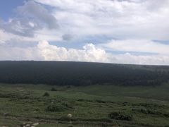 -芦芽山旅游度假区