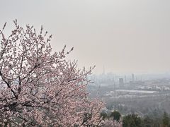 -白水寺森林公园