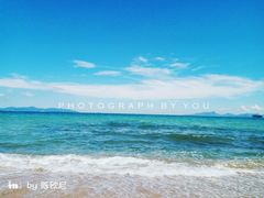 -玫瑰海岸文化旅游度假区