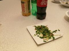 -上海安亭别墅花园酒店