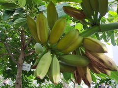 -中国农科院国家农业科技展示园