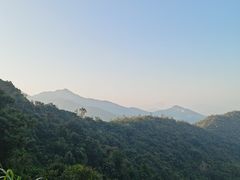 -梧桐山风景名胜区