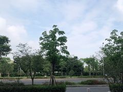 -万达茂商场(南京仙林店)