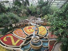 -南山植物园