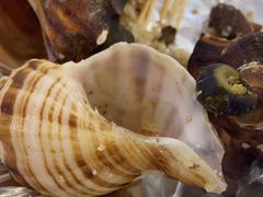 -绿雅居原生态农庄(小涌店)
