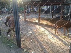 -长白岛森林公园