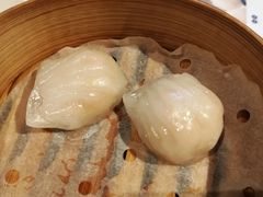 虾饺-喜来登由由大酒店九州膳坊中餐厅