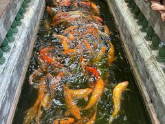 -佛山顺德香云纱园林酒店(清晖园店)