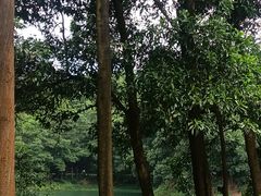 -红花湖景区