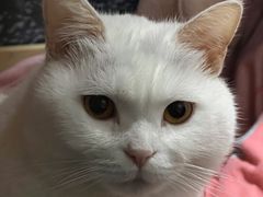 -宠颐生嘉德动物医院