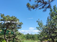 -北京西山国家森林公园