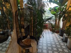 -泽西岛·影院沐足SPA(西大街店)