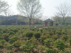 -合肥三国新城遗址公园