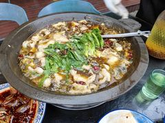 -都江堰石锅鱼