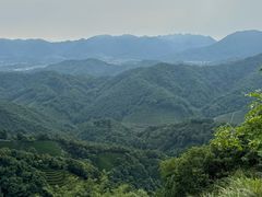 -十里琅珰