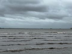 -上海吴淞炮台湾国家湿地公园