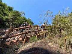 -广州白江湖森林公园