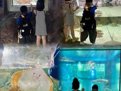 -福州罗源湾海洋世界旅游区