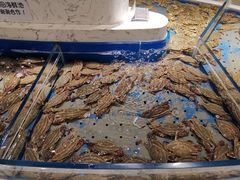 -澜悦港海鲜体验主题餐厅
