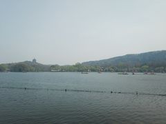 -西湖外事游船(花港观鱼码头)