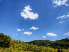 -陶祖圣境风景区