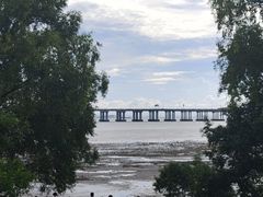 -宝安西湾红树林湿地公园