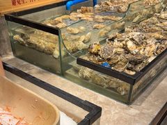 -梨花自助烤肉(西三旗万象汇黑金店)