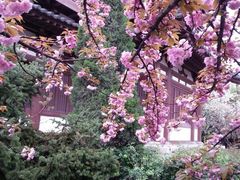 iphone_upload_pic-西安青龙寺遗址景区