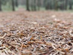 -山王坪喀斯特国家生态公园