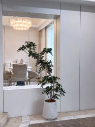 -弗蕾亚·和月月子调理院(东湖店)